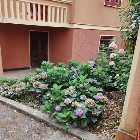 Appartamento Villa Delle Ortensie Daire *