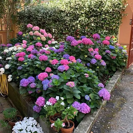 Appartamento Villa Delle Ortensie * Rapallo